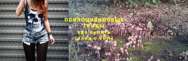 MDMA Premium VHQ Михайловск