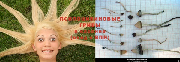 MDMA Premium VHQ Михайловск