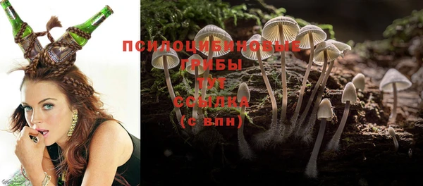 COCAINE Михайлов