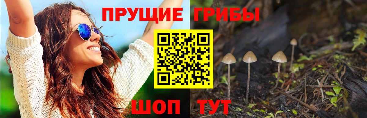 Саратов  Галлюциногенные грибы GOLDEN TEACHER  Вход с VPN 