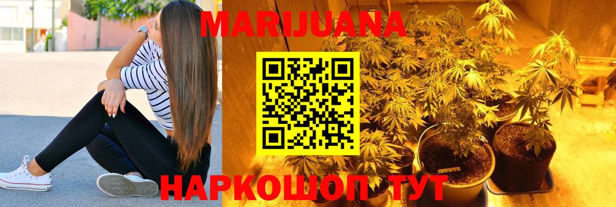 Бошки марихуана план  МАРИХУАНА план  Саратов  Марихуана AK-47  Вход с VPN 